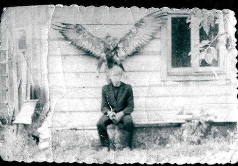 The Golden Eagle Around the World A Monograph on a Holarctic Raptor - Ellis, D. H. ym. 2024